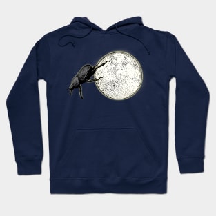 Moon Light Dung Beetle Hoodie